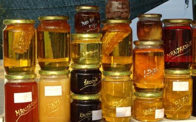 „Snídaňové“ směrnice: Poslanci požadují jasnější označování medu, ovocných šťáv a džemů