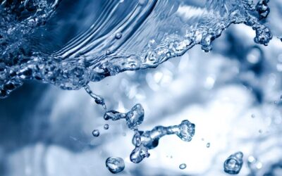 Světový den vody 2024: Voda pro mír