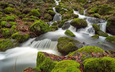 Mobilní aplikace přispěje k ochraně životního prostředí a turistům ukáže méně vytížené krásy české přírody