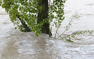 Oznámení o uzavření poraden v Ostravě, Bohumíně a Opavě z důvodu povodní